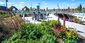 The Ribbon Garden