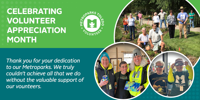 volunteer-month-2025-700x350jpg