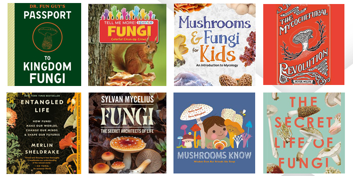 library-blog-post-sept-700x350jpg