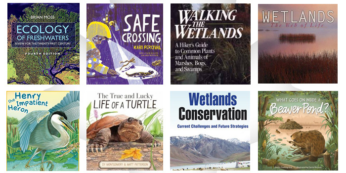 library-blog-post-mar-700x350jpg