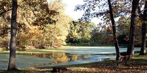 Evergreen Lake Area