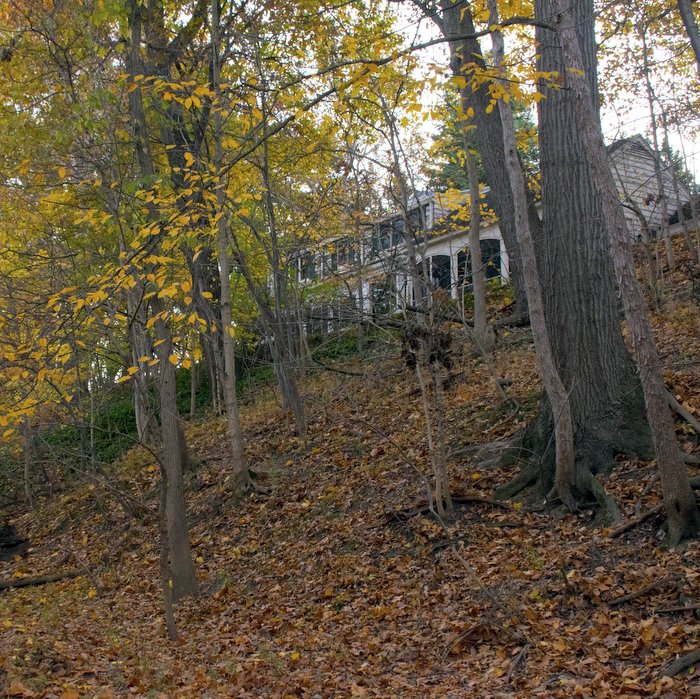 belt-estate-swan-creek-1-002jpg