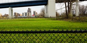 Off-leash Dog Area