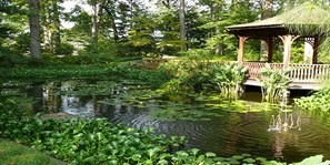 Pond Gazebo