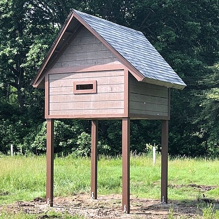 pearson-bat-condojpg