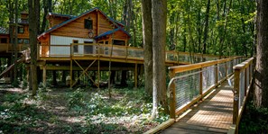Treehouse Village  - The Hub