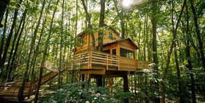 Treehouse Village  - The Stable