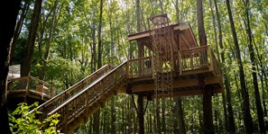 Treehouse Village Hammock Platform - The Drey