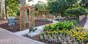 Doneghy Inclusive Garden