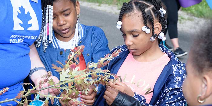 700x350-oh-wildlife-detective-thumbnailjpg