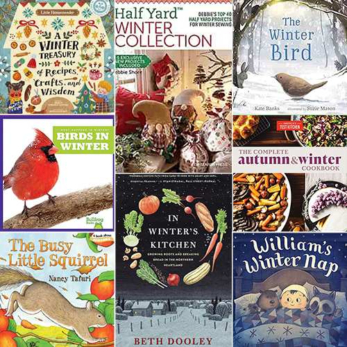 library-blog-post-nov-500x500jpg