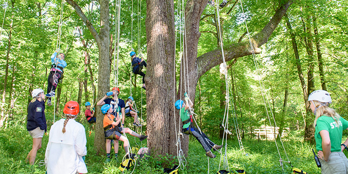 051 survivor camp and outdoor explorer 700x350.jpg