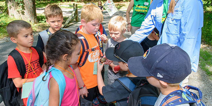 Survival Camp 700x350.jpg